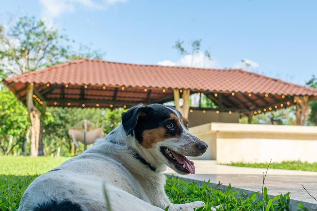 Casa Roble Fortuna La Fortuna Bagian luar foto