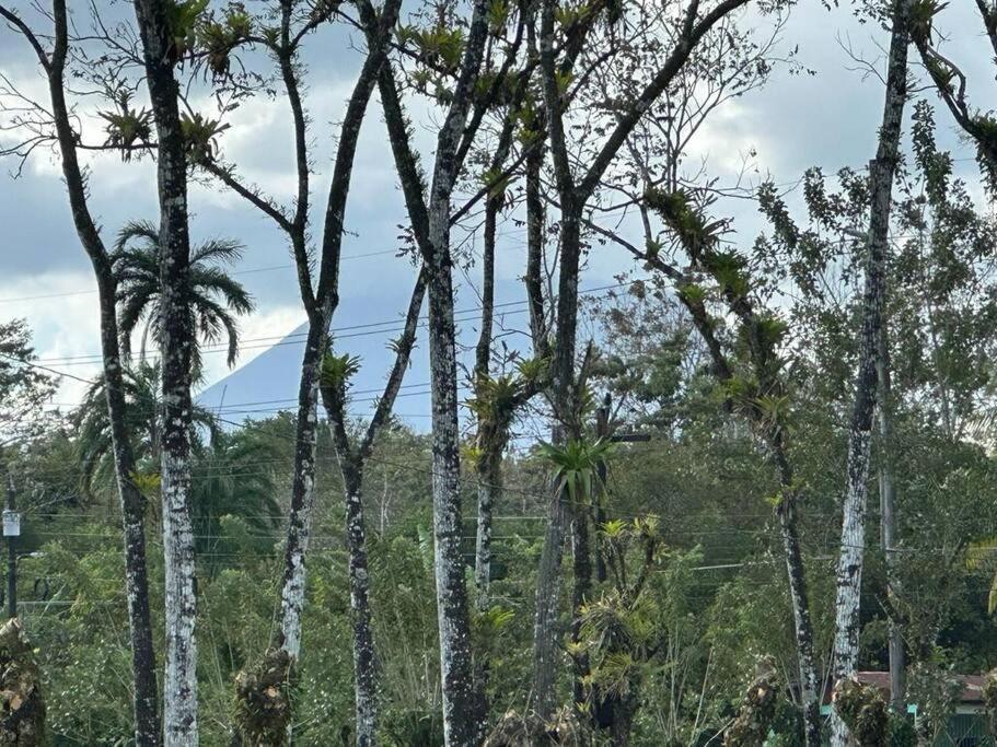 Casa Roble Fortuna La Fortuna Bagian luar foto