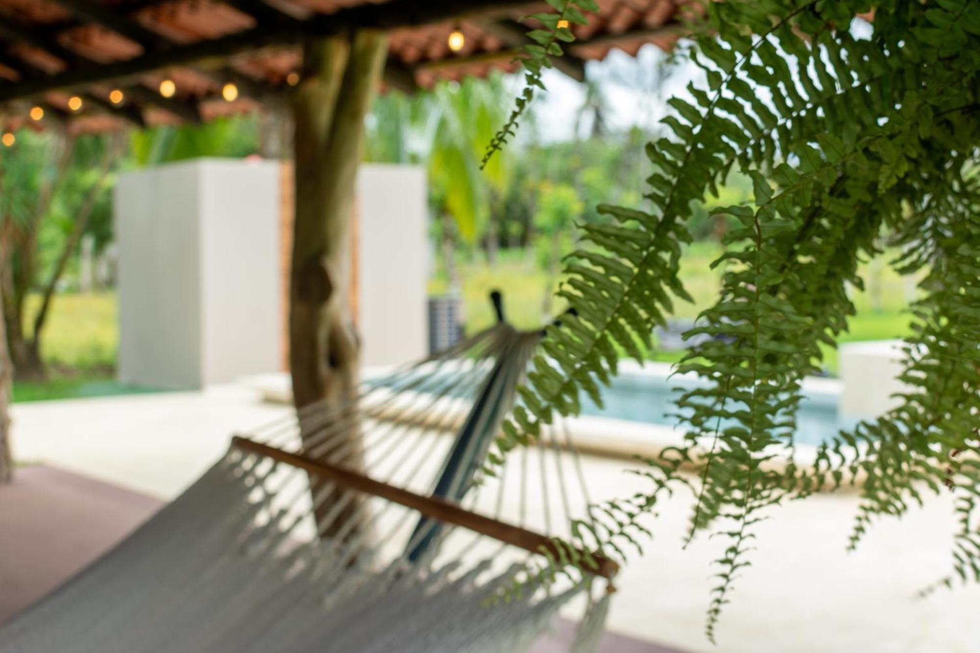 Casa Roble Fortuna La Fortuna Bagian luar foto